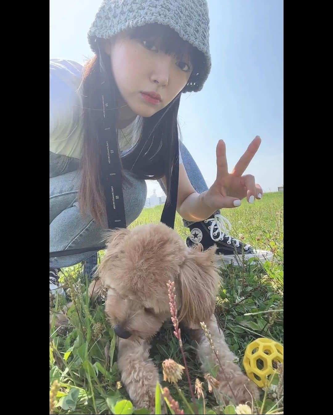 中山莉子さんのインスタグラム写真 - (中山莉子Instagram)「→ ウク君と2ショットは難しいです😐 ⁡ #愛犬#マルプー#わんこ#犬のいる暮らし#癒し#可愛い #dog#pet#dogstagram#instadog」7月15日 19時30分 - nakayama_riko_official