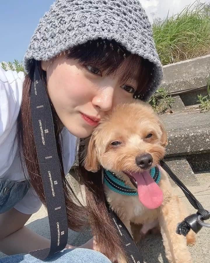 中山莉子のインスタグラム：「→ ウク君と2ショットは難しいです😐 ⁡ #愛犬#マルプー#わんこ#犬のいる暮らし#癒し#可愛い #dog#pet#dogstagram#instadog」