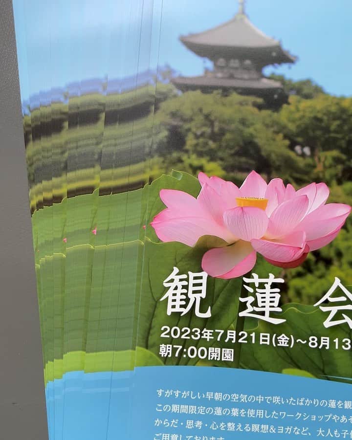 botanypaintingのインスタグラム：「2023年横浜・三溪園「観蓮会」のチラシが届きました。 今年も素敵なチラシで、眺めていてワクワクします。 ボタニーペインティングのワークショップ「蓮の葉を使った団扇づくり」を開催します 2023年8月11日〜13日の3日間 9時〜15時のお好きなお時間にご参加下さい。 数に限りがありますので、事前のご予約がオススメです。 ご予約は、ボタニーペインティング公式ホームページから  蓮の花が見頃の三溪園へ 夏のお出掛けの予定に入れてみて下さい。 団扇づくりは、お子様も体験いただけます。夏休みの体験に是非！ #ボタニーペインティング #横浜三溪園 #横浜観光 @sankeien_garden」