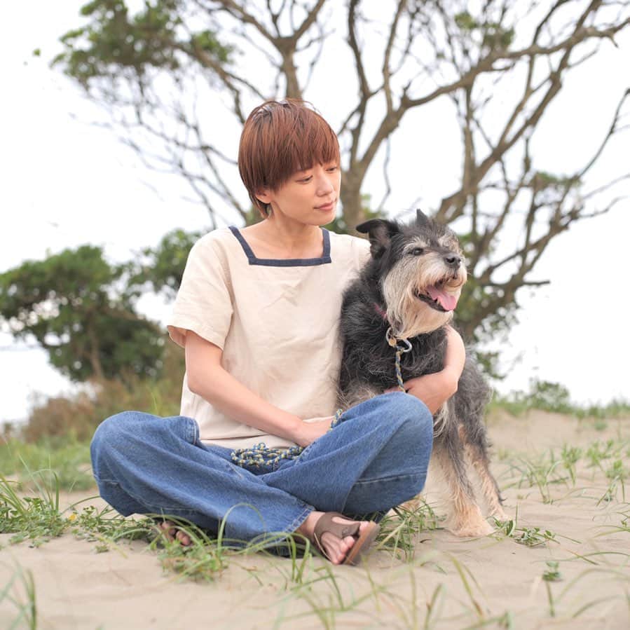 甲斐麻美さんのインスタグラム写真 - (甲斐麻美Instagram)「😙😙😙  ふふふ 短いでしょ😚  #20230715 #kaicoの好日 #いぬとわたし #犬とわたし #元保護犬 #保護犬を家族に」7月15日 19時51分 - kaico_asami