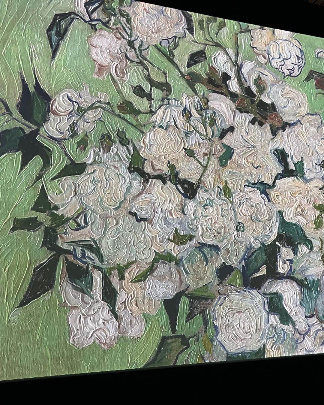 イプシー・キーラティのインスタグラム：「it was magical . . 🎶🎨 :))」