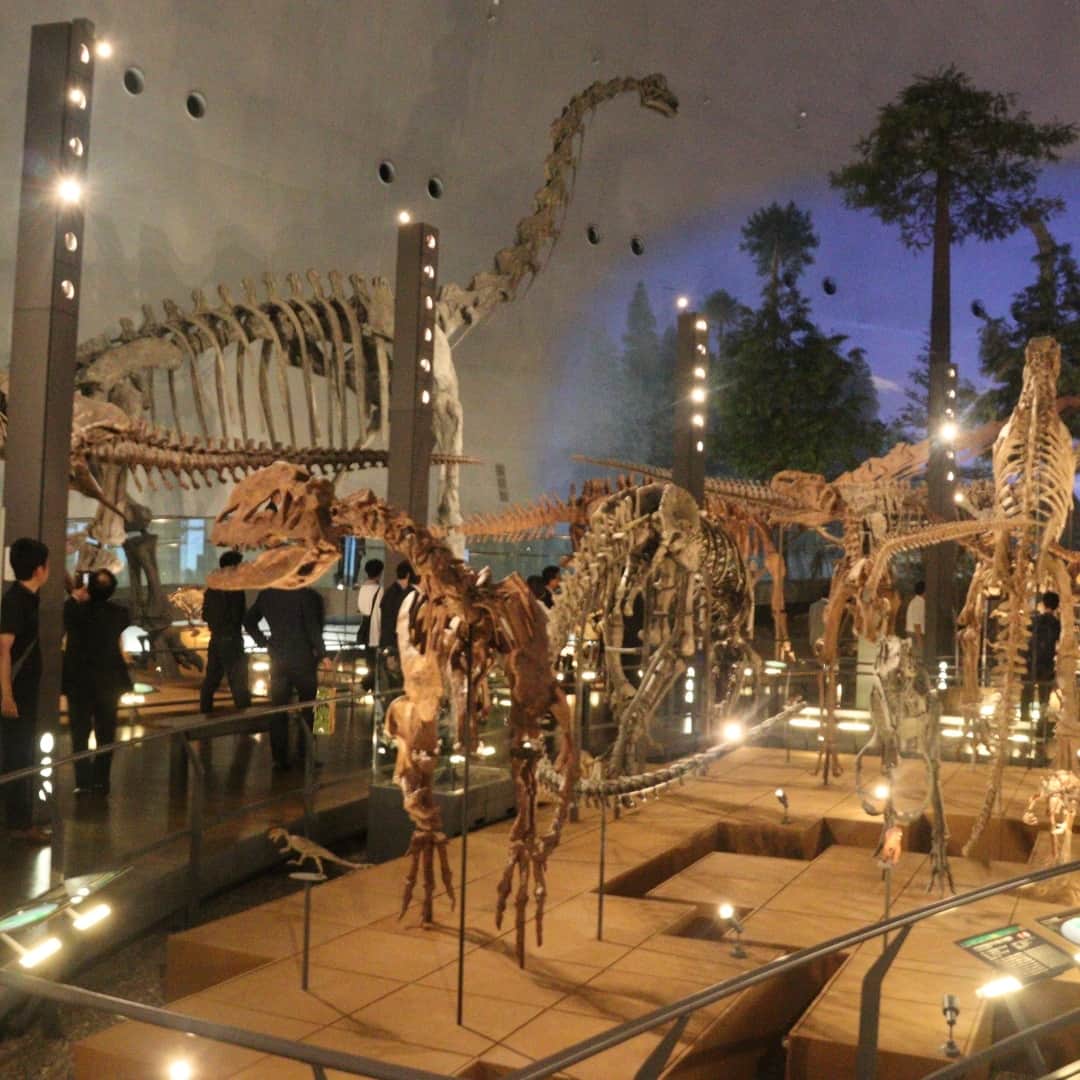 日本経済新聞社さんのインスタグラム写真 - (日本経済新聞社Instagram)「福井県立恐竜博物館が約1年の改装を終えて再オープンしました。新館を建設して延べ床面積は1.5倍になり、巨大な全身骨格や大型映像パネルといった展示物を拡充。北陸新幹線の敦賀延伸を2024年3月に控え、恐竜博物館は首都圏など遠方からも大勢の観光客を呼び込むキラーコンテンツとして期待を集めています。⁠ ⁠ 詳細はプロフィールの linkin.bio/nikkei をタップ。⁠ 投稿一覧からコンテンツをご覧になれます。⁠ ⁠ ⁠ #日経電子版  #福井県立恐竜博物館  #恐竜  #化石  #勝山市」7月15日 20時00分 - nikkei