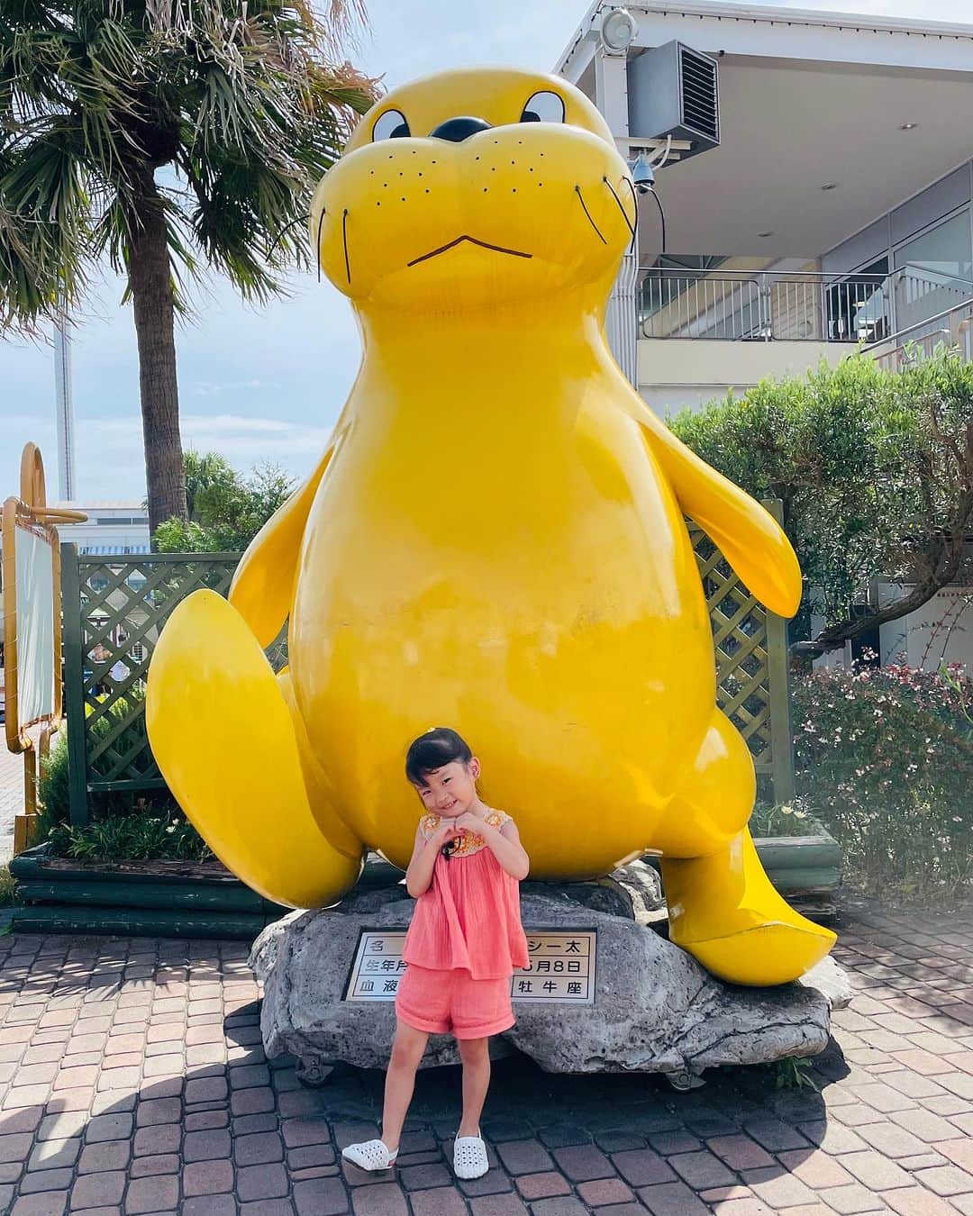 村方乃々佳のインスタグラム：「シーパラシー太くんって小峠さんに似てるよね☺ってののちゃん。 「ヒルナンデス！」みてね〜🤗  📺日本テレビ「ヒルナンデス！」 2023年7月17日（月） 11:55~13:55  #村方乃々佳 #ののちゃん #ののかちゃん #ののちゃんねる #nonokamurakata #노노카 #NONOCHAN #ヒルナンデス」