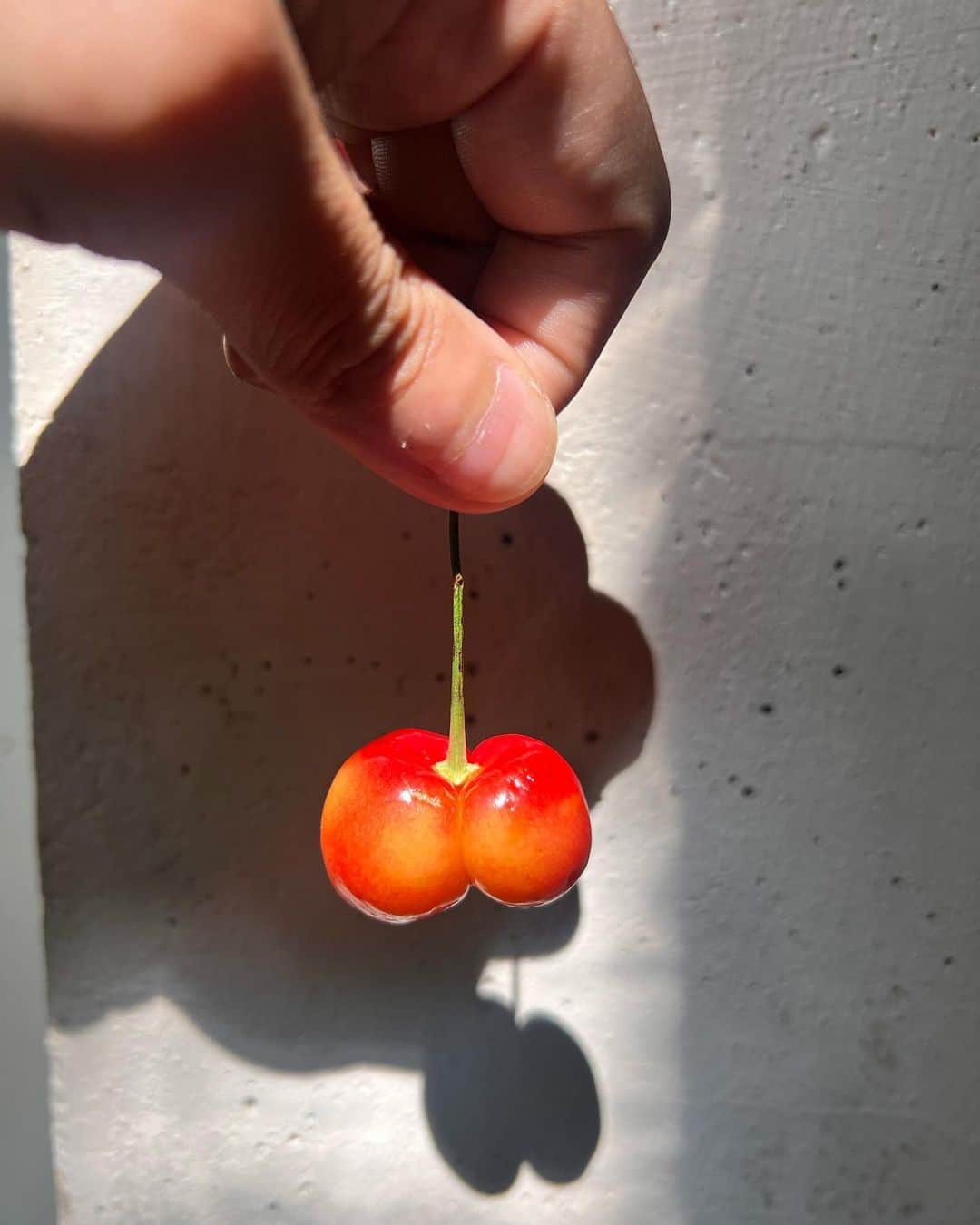 稲木ジョージさんのインスタグラム写真 - (稲木ジョージInstagram)「Castle things 🍒」7月16日 5時49分 - georgerootnyc