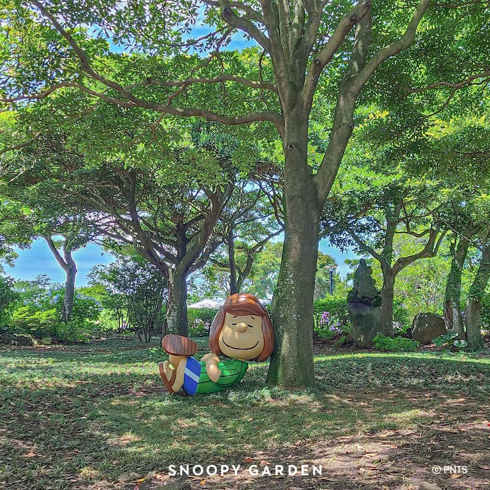 スヌーピーさんのインスタグラム写真 - (スヌーピーInstagram)「SNOOPY GARDEN is celebrating its 3rd ANNIVERSARY🎉��Located on Jeju Island in South Korea, the garden is filled with your favorite Peanuts characters and iconic moments from the comic strips blended with the nature of Jeju Island.   #snoopygarden #jejusnoopygarden #SnoopyGardenOpen3rdAnniversary #SnoopyGardenOpenAnniversary」7月16日 6時06分 - snoopygrams