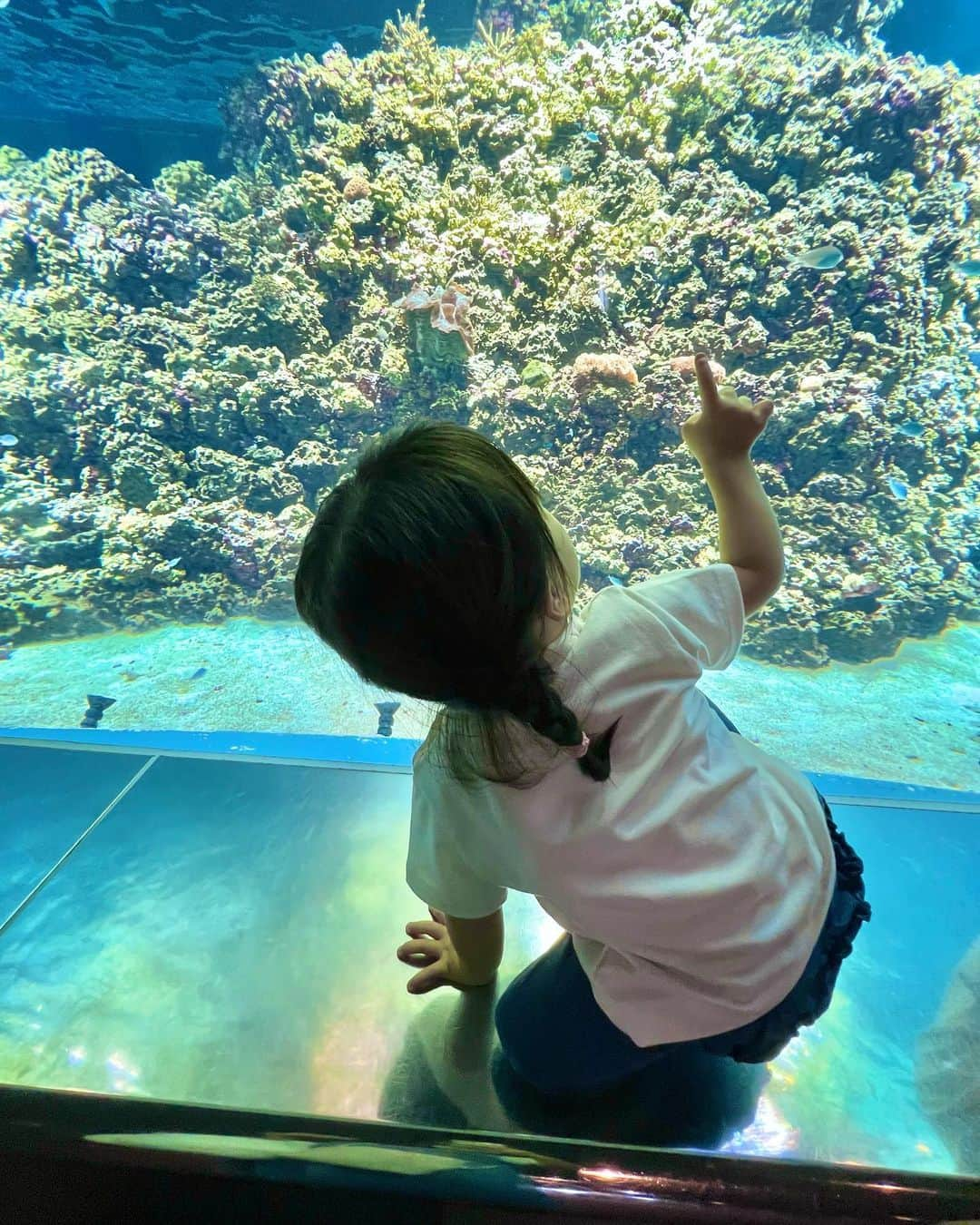 丸山裕理さんのインスタグラム写真 - (丸山裕理Instagram)「. 🐠🫧  . 三連休の始まりは 娘の水族館デビューでした🐡 𓂃𓈒𓏸 . ベイビーシャークが好きだからか 水槽の前で終始、大•興•奮 ‼︎ . 目をきらきらさせて 魚を見つめる姿が微笑ましかったです。 . こんな顔で楽しんでくれるから どこへだって連れていってあげたい。 . 記憶には残らなくても 刺激になってくれたらいいな。 . . #水族館デビュー #水族館  #葛西臨海水族園 #葛西臨海公園  #プランを考えたのは全てパパ🙏🏻 #感謝  #舞浜 #イクスピアリグルメ #ベイビーシャーク  #女の子ママ #1歳4ヶ月 #赤ちゃんのいる暮らし  #子連れお出かけ #子連れ水族館」7月15日 22時05分 - yuri_maruyama1213