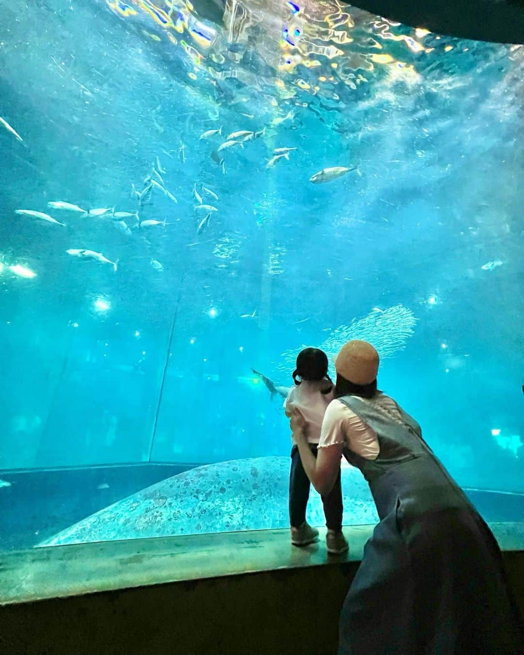 丸山裕理のインスタグラム：「. 🐠🫧  . 三連休の始まりは 娘の水族館デビューでした🐡 𓂃𓈒𓏸 . ベイビーシャークが好きだからか 水槽の前で終始、大•興•奮 ‼︎ . 目をきらきらさせて 魚を見つめる姿が微笑ましかったです。 . こんな顔で楽しんでくれるから どこへだって連れていってあげたい。 . 記憶には残らなくても 刺激になってくれたらいいな。 . . #水族館デビュー #水族館  #葛西臨海水族園 #葛西臨海公園  #プランを考えたのは全てパパ🙏🏻 #感謝  #舞浜 #イクスピアリグルメ #ベイビーシャーク  #女の子ママ #1歳4ヶ月 #赤ちゃんのいる暮らし  #子連れお出かけ #子連れ水族館」