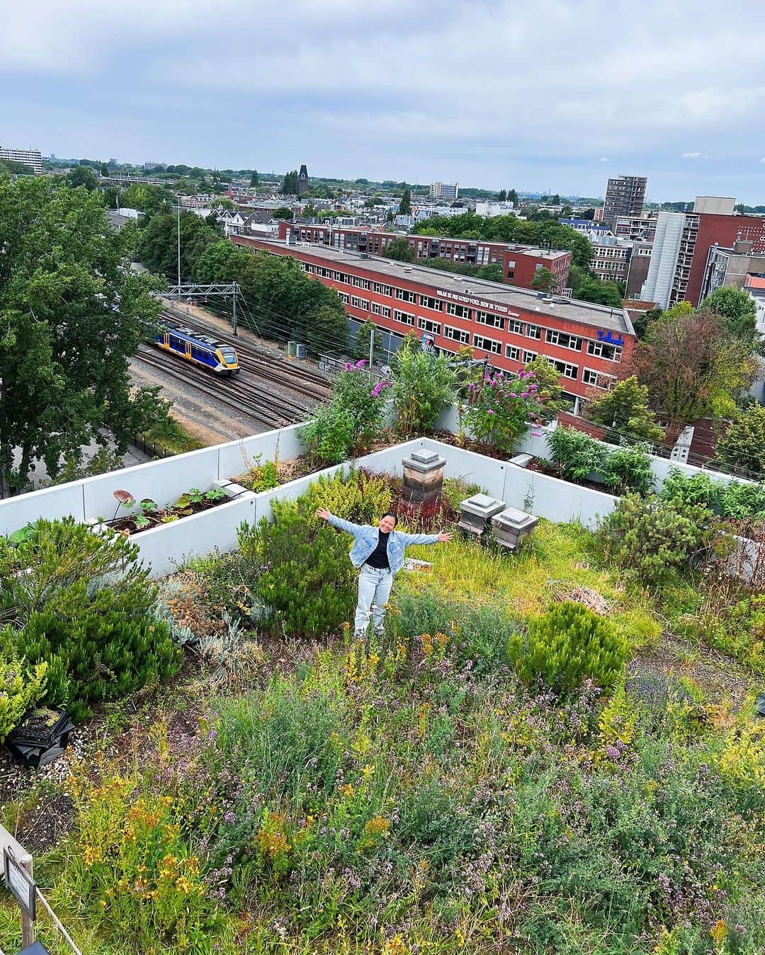 Amata Chittaseneeさんのインスタグラム写真 - (Amata ChittaseneeInstagram)「😍 @dakakker ❤️ what an amazing Rooftop Farm at the heart of #Rotterdam city #Netherlands 🇳🇱 สวนผักในเมือง ดาดฟ้ากินได้ ที่ประเทศเนเธอร์แลนด์ เมือง Rotterdam หนึ่งในสวนที่ใหญ่ที่สุดในยุโรป เป็นสวนลอยฟ้าที่สวยมากๆ มีความหลากหลายของพืชและสิ่งมีชีวิตเยอะมาก 😍 เลี้ยงไก่ 5 ตัวบนดาดฟ้า เอาดิ! กล่องผึ้งก็มีนะ! เก็บน้ำผึ้งขาย พื้นดาดฟ้าปูด้วยดินและหินภูเขาน้ำหนักเบา การปลูกจึงออกแบบดิบๆแนวธรรมชาติ สวนเปิดมาแล้ว 11 ปี และได้รับสนับสนุนโดยรัฐบาลและองค์กรหลายที่ มีวิศวกรมาช่วยออกแบบระบบน้ำและคำนวนน้ำหนักของสวนลอยฟ้าอย่างจริงจัง ทำให้เป็นพื้นที่แห่งการเรียนรู้อีกด้วย แถมที่นี้เปิดรับอาสาสมัครมาช่วยทำสวนอีกด้วย เจอคุณยายท่าน1 อายุ 80ปี ยังสาวและแข็งแรงอยู่เลย มาช่วยถอนวัชพืช // เป็นวันที่มีความสุขสุดๆแถมยังได้แลกเปลี่ยนความรู้กันอย่างเต็มที่เลย! - special thanks to @emilevanrinsum @agbaria.mustafa @aaom_oom for showing us the possibilities of our future 🐝 - For more info visit @dakakker  The DakAkker is a 1000 m2 rooftopfarm on top of the Schieblock in Rotterdam in The Netherlands. Vegetables, edible flowers and fruit are grown and bees are kept. The DakAkker is the largest open-air roof farm in the Netherlands and one of the largest in Europe. The Smartroof is located on the roof of the rooftoppavilion. A testsite for smart waterstorage and – management. #rooftopfarming #rooftopgarden #rooftopfarm #pearypieskygarden #urbanfarming #organicproducts #pearypiegoesgreen #pearypieskygarden #pearypiearoundtheworld」7月15日 22時16分 - pearypie