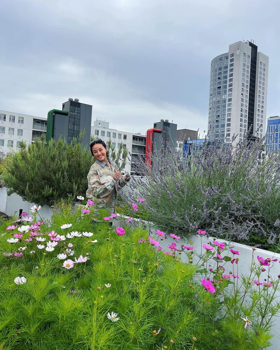 Amata Chittaseneeさんのインスタグラム写真 - (Amata ChittaseneeInstagram)「😍 @dakakker ❤️ what an amazing Rooftop Farm at the heart of #Rotterdam city #Netherlands 🇳🇱 สวนผักในเมือง ดาดฟ้ากินได้ ที่ประเทศเนเธอร์แลนด์ เมือง Rotterdam หนึ่งในสวนที่ใหญ่ที่สุดในยุโรป เป็นสวนลอยฟ้าที่สวยมากๆ มีความหลากหลายของพืชและสิ่งมีชีวิตเยอะมาก 😍 เลี้ยงไก่ 5 ตัวบนดาดฟ้า เอาดิ! กล่องผึ้งก็มีนะ! เก็บน้ำผึ้งขาย พื้นดาดฟ้าปูด้วยดินและหินภูเขาน้ำหนักเบา การปลูกจึงออกแบบดิบๆแนวธรรมชาติ สวนเปิดมาแล้ว 11 ปี และได้รับสนับสนุนโดยรัฐบาลและองค์กรหลายที่ มีวิศวกรมาช่วยออกแบบระบบน้ำและคำนวนน้ำหนักของสวนลอยฟ้าอย่างจริงจัง ทำให้เป็นพื้นที่แห่งการเรียนรู้อีกด้วย แถมที่นี้เปิดรับอาสาสมัครมาช่วยทำสวนอีกด้วย เจอคุณยายท่าน1 อายุ 80ปี ยังสาวและแข็งแรงอยู่เลย มาช่วยถอนวัชพืช // เป็นวันที่มีความสุขสุดๆแถมยังได้แลกเปลี่ยนความรู้กันอย่างเต็มที่เลย! - special thanks to @emilevanrinsum @agbaria.mustafa @aaom_oom for showing us the possibilities of our future 🐝 - For more info visit @dakakker  The DakAkker is a 1000 m2 rooftopfarm on top of the Schieblock in Rotterdam in The Netherlands. Vegetables, edible flowers and fruit are grown and bees are kept. The DakAkker is the largest open-air roof farm in the Netherlands and one of the largest in Europe. The Smartroof is located on the roof of the rooftoppavilion. A testsite for smart waterstorage and – management. #rooftopfarming #rooftopgarden #rooftopfarm #pearypieskygarden #urbanfarming #organicproducts #pearypiegoesgreen #pearypieskygarden #pearypiearoundtheworld」7月15日 22時16分 - pearypie