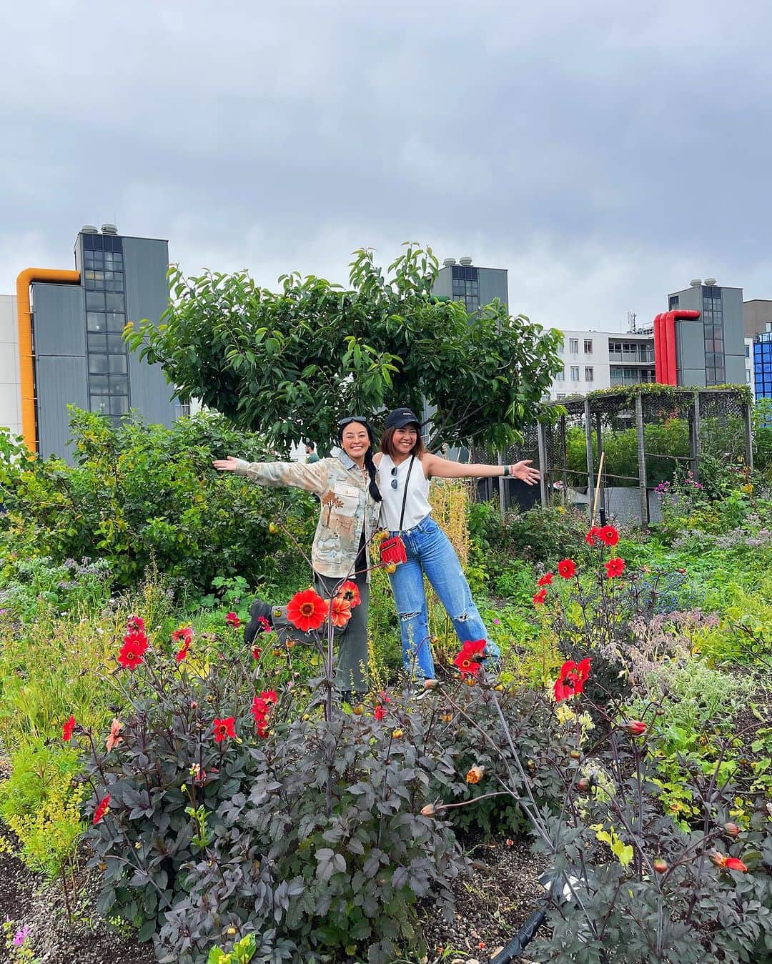 Amata Chittaseneeのインスタグラム：「😍 @dakakker ❤️ what an amazing Rooftop Farm at the heart of #Rotterdam city #Netherlands 🇳🇱 สวนผักในเมือง ดาดฟ้ากินได้ ที่ประเทศเนเธอร์แลนด์ เมือง Rotterdam หนึ่งในสวนที่ใหญ่ที่สุดในยุโรป เป็นสวนลอยฟ้าที่สวยมากๆ มีความหลากหลายของพืชและสิ่งมีชีวิตเยอะมาก 😍 เลี้ยงไก่ 5 ตัวบนดาดฟ้า เอาดิ! กล่องผึ้งก็มีนะ! เก็บน้ำผึ้งขาย พื้นดาดฟ้าปูด้วยดินและหินภูเขาน้ำหนักเบา การปลูกจึงออกแบบดิบๆแนวธรรมชาติ สวนเปิดมาแล้ว 11 ปี และได้รับสนับสนุนโดยรัฐบาลและองค์กรหลายที่ มีวิศวกรมาช่วยออกแบบระบบน้ำและคำนวนน้ำหนักของสวนลอยฟ้าอย่างจริงจัง ทำให้เป็นพื้นที่แห่งการเรียนรู้อีกด้วย แถมที่นี้เปิดรับอาสาสมัครมาช่วยทำสวนอีกด้วย เจอคุณยายท่าน1 อายุ 80ปี ยังสาวและแข็งแรงอยู่เลย มาช่วยถอนวัชพืช // เป็นวันที่มีความสุขสุดๆแถมยังได้แลกเปลี่ยนความรู้กันอย่างเต็มที่เลย! - special thanks to @emilevanrinsum @agbaria.mustafa @aaom_oom for showing us the possibilities of our future 🐝 - For more info visit @dakakker  The DakAkker is a 1000 m2 rooftopfarm on top of the Schieblock in Rotterdam in The Netherlands. Vegetables, edible flowers and fruit are grown and bees are kept. The DakAkker is the largest open-air roof farm in the Netherlands and one of the largest in Europe. The Smartroof is located on the roof of the rooftoppavilion. A testsite for smart waterstorage and – management. #rooftopfarming #rooftopgarden #rooftopfarm #pearypieskygarden #urbanfarming #organicproducts #pearypiegoesgreen #pearypieskygarden #pearypiearoundtheworld」