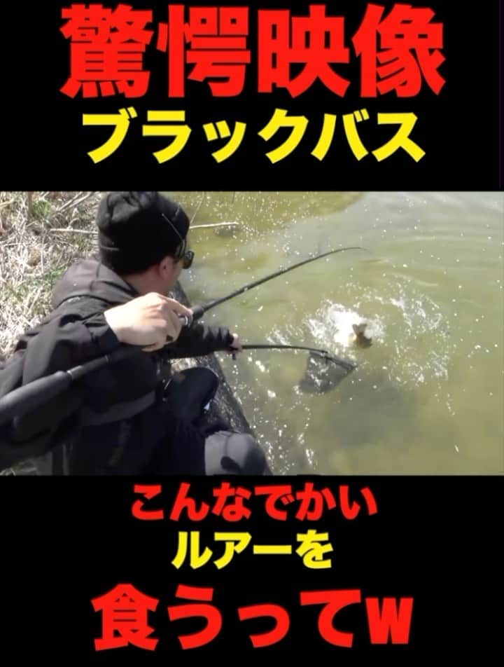 SpaceMonkeysのインスタグラム：「ビッグベイトドリームショート動画！ ガンクラフトジョインテッドクローマグナムでやばいデカバス捕獲！  #バス釣り #魚 #魚釣り #ルアー #ルアー釣り #ガンクラフト #bassfishing  #bassfishingismylife  #bassfishingnation」