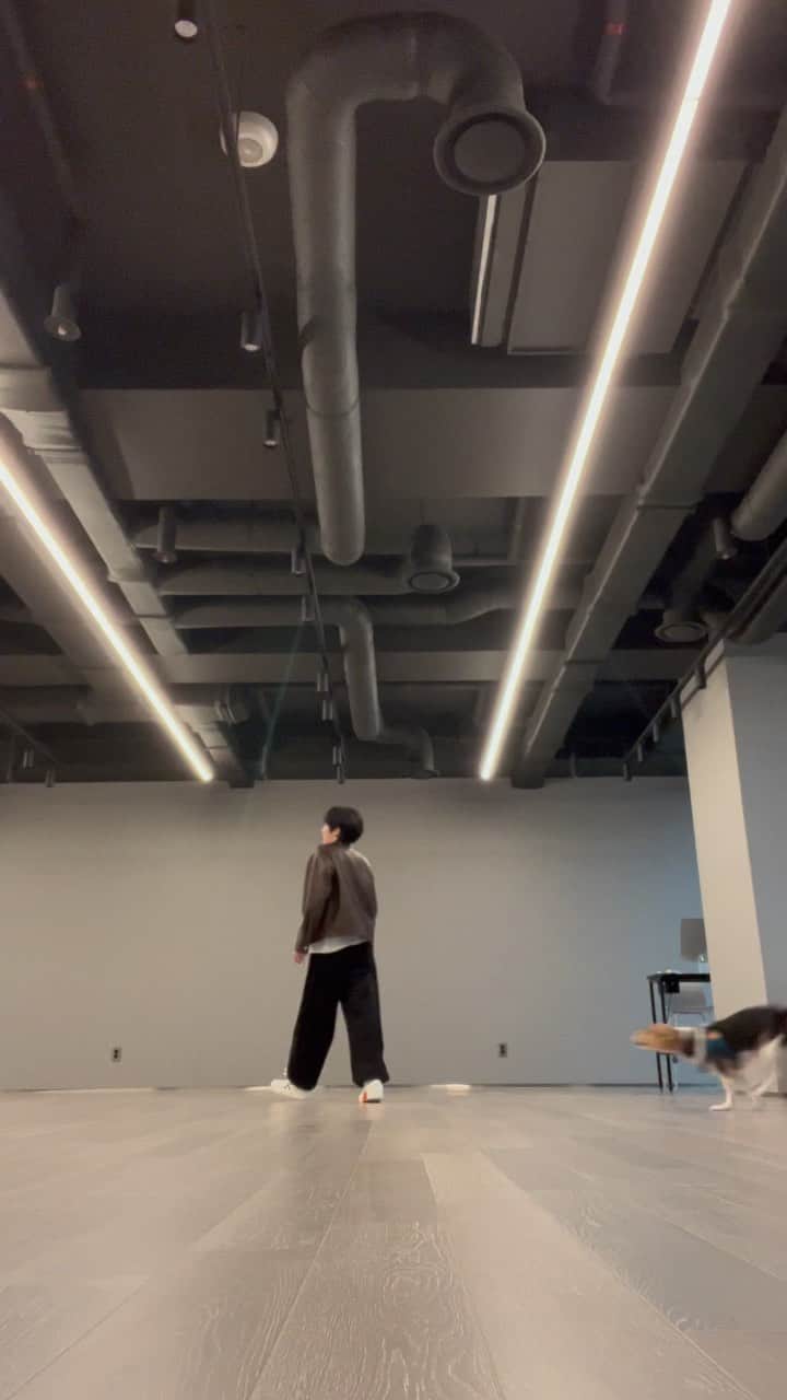 シャオジュン（XIAOJUN）のインスタグラム：「I was not joking, come and see Bella's growl haha」