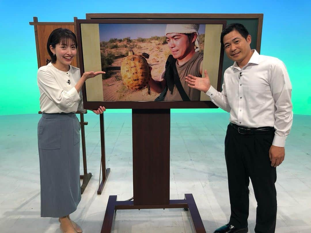 北村花絵のインスタグラム：「7/16（日）のテレビ寺子屋は先週に続いて静岡大学の加藤英明先生が登場です！  生物ハンターとして子供たちにも大人気の加藤先生😊  生き物調査で世界中を飛び回ってきた中でも特に思い出深いと語る『中央アジア』の冒険記を写真と共に話していただきました！  保全生物学の道に進むきっかけとなった出来事もこの地で経験し、まさに加藤先生の原点とも言える場所なんだそう！  中央アジアの砂漠でたくましく生きる生物たちも紹介してくれますよ！  全国でも順次放送します。 ぜひご覧ください🐢✨  #テレビ寺子屋  #加藤英明先生  #中央アジア #ロシアリクガメ  #オオクチガマトカゲ」