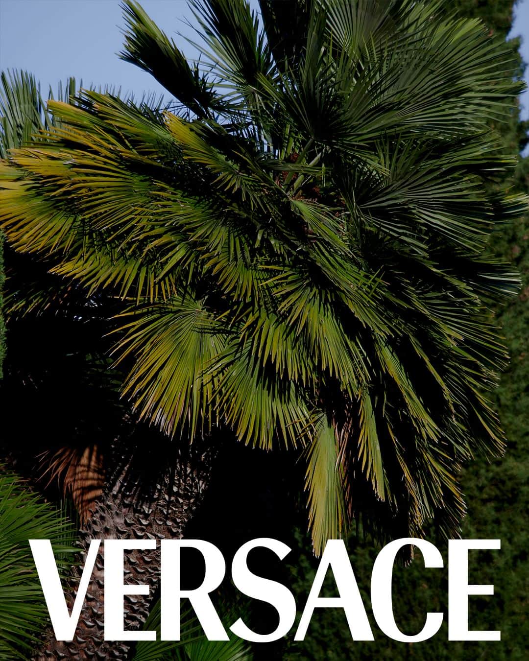 ジャンニヴェルサーチのインスタグラム：「Versace "La Vacanza"  Cannes, South of France.  Now at Versace.com via the link in bio.  #VersaceLaVacanza」