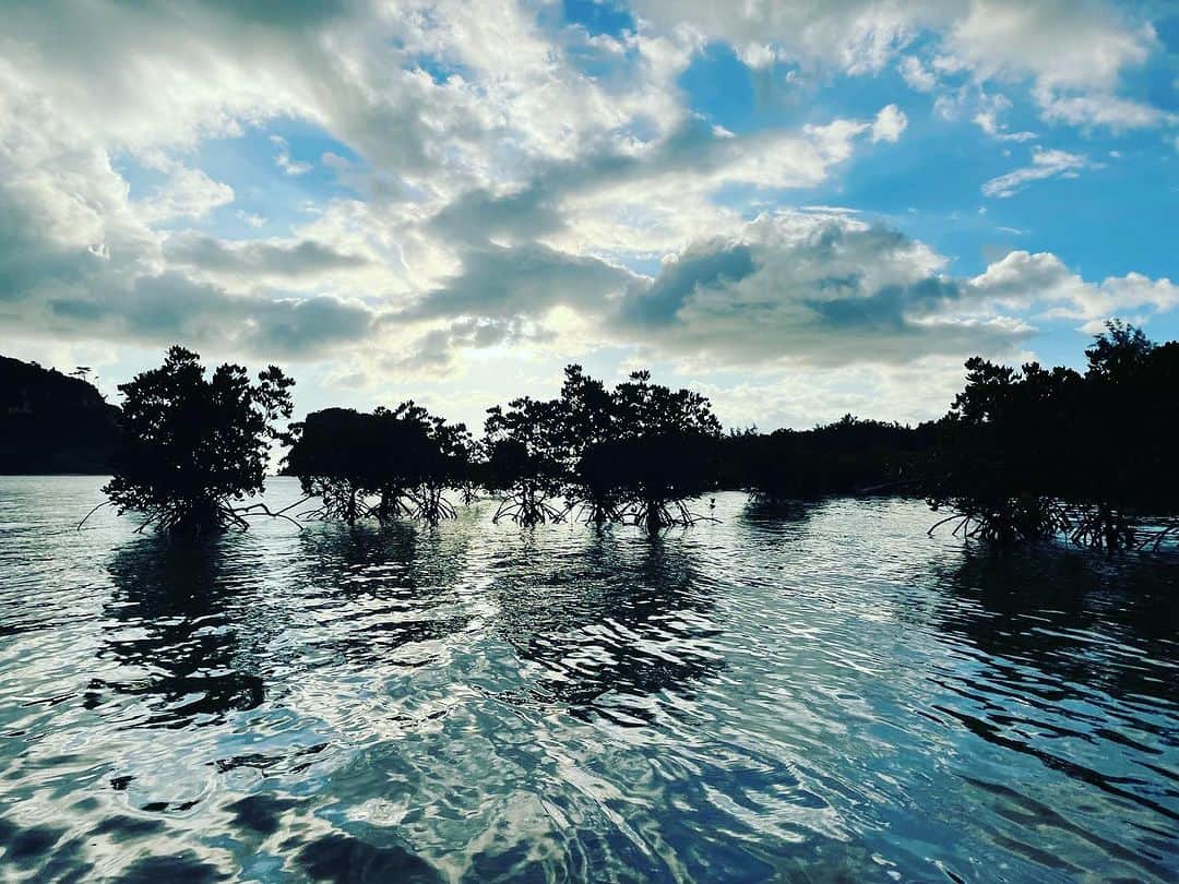 akikoさんのインスタグラム写真 - (akikoInstagram)「Sunset  @iriomote_hotel   #夕暮れマングローブカヤック #sundowner」7月15日 23時08分 - akikojazz