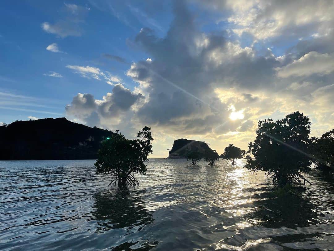 akikoさんのインスタグラム写真 - (akikoInstagram)「Sunset  @iriomote_hotel   #夕暮れマングローブカヤック #sundowner」7月15日 23時08分 - akikojazz
