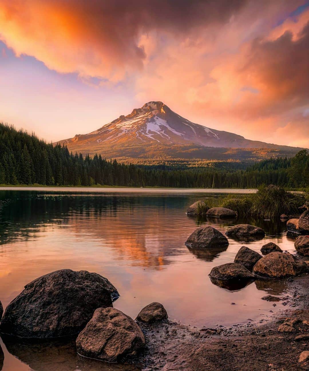 Visit The USAのインスタグラム：「We’re halfway through 2023 and you still need to check Mount Hood, Oregon off your USA bucket list.   Save this post to put that trip to Oregon in your near future!   📸: @woodenshoefarm  #VisitTheUSA #MountHood #MountHoodNationalForest #PNW #TravelOregon」