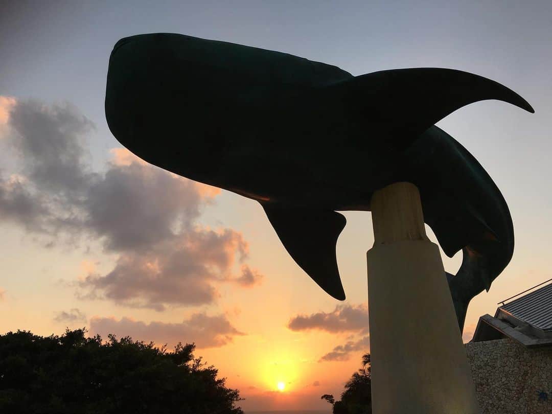 ヒガリノのインスタグラム：「__  📍美ら海水族館  🐟  #沖縄 #夕景 #夕陽 #サンセット」