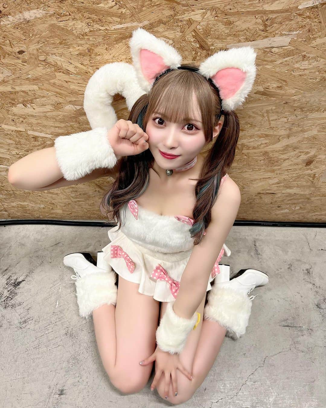 堀詩音のインスタグラム：「เลี้ยงเป็นสัตว์เลี้ยงเหรอ？🐱  飼う？🐱  #idol #japaneseidol #nmb48 #shion #hori #shionhori  #アイドル #ไอดอล #ไอดอลญี่ปุ่น #妄想ガールフレンド #猫コスプレ」