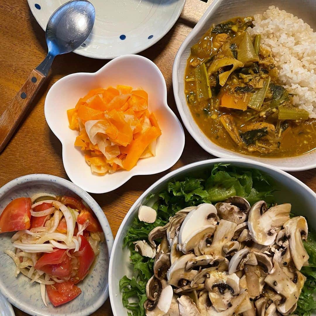 西野未姫のインスタグラム：「健康のために魚を取り入れるようにしています☺️🔥🐟  鯖缶カレー にんじんと大根のナムル マッシュルームサラダ トマトマリネ  #健康食  #カレーはカレールーを使いません #スパイスカレー #生姜たっぷり #お肉の代わりに鯖缶 #けーを健康にするために #気をつけてるけど隠れてめっちゃアイス食べてる #どうしたらいいのか  #健康アイス作ればいいのか #今度アイス作ってみよう」