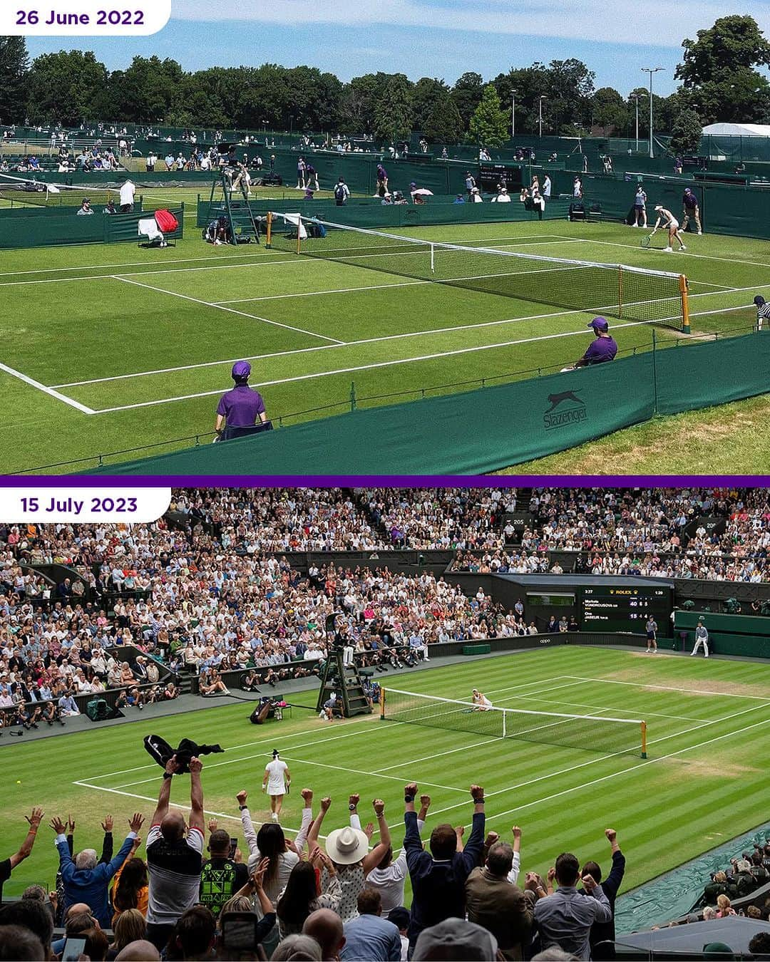 WTA（女子テニス協会）さんのインスタグラム写真 - (WTA（女子テニス協会）Instagram)「What a difference a year makes 💚💜  #Wimbledon」7月16日 1時32分 - wta