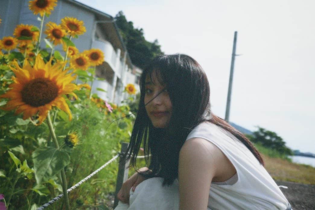 川原美咲さんのインスタグラム写真 - (川原美咲Instagram)「暮暮、日輪草、潮鳴り ・ ・ ・ ・ お花を見ると 生きよう、と思えます。🌻✨　 ・ ・ ・ ・ 2022.06 ・  #下灘駅 #下灘 #海が1番近い駅 #下灘駅の夕陽 #下灘駅🚃 #下灘駅ひまわり #愛媛県 #坊っちゃん劇場 #愛媛観光 #愛媛観光スポット  #dazzcam #dazzcamera #フィルムカメラ #被写体モデル #被写体女子 #被写体になります #カメラ女子 #カメラ好きな人と繋がりたい  #02년생 #0203students #0203studentsさんと繋がりたい #0203line #02line #02世代」7月16日 1時40分 - misaki_888_sagasaikou