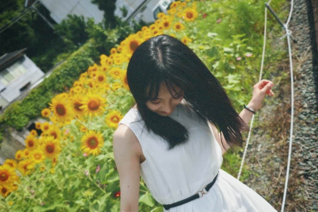 川原美咲さんのインスタグラム写真 - (川原美咲Instagram)「暮暮、日輪草、潮鳴り ・ ・ ・ ・ お花を見ると 生きよう、と思えます。🌻✨　 ・ ・ ・ ・ 2022.06 ・  #下灘駅 #下灘 #海が1番近い駅 #下灘駅の夕陽 #下灘駅🚃 #下灘駅ひまわり #愛媛県 #坊っちゃん劇場 #愛媛観光 #愛媛観光スポット  #dazzcam #dazzcamera #フィルムカメラ #被写体モデル #被写体女子 #被写体になります #カメラ女子 #カメラ好きな人と繋がりたい  #02년생 #0203students #0203studentsさんと繋がりたい #0203line #02line #02世代」7月16日 1時40分 - misaki_888_sagasaikou
