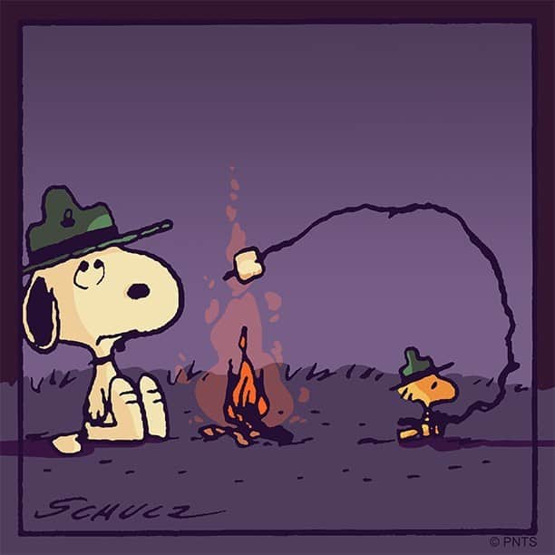 スヌーピーのインスタグラム：「It's a s'mores kind of summer」