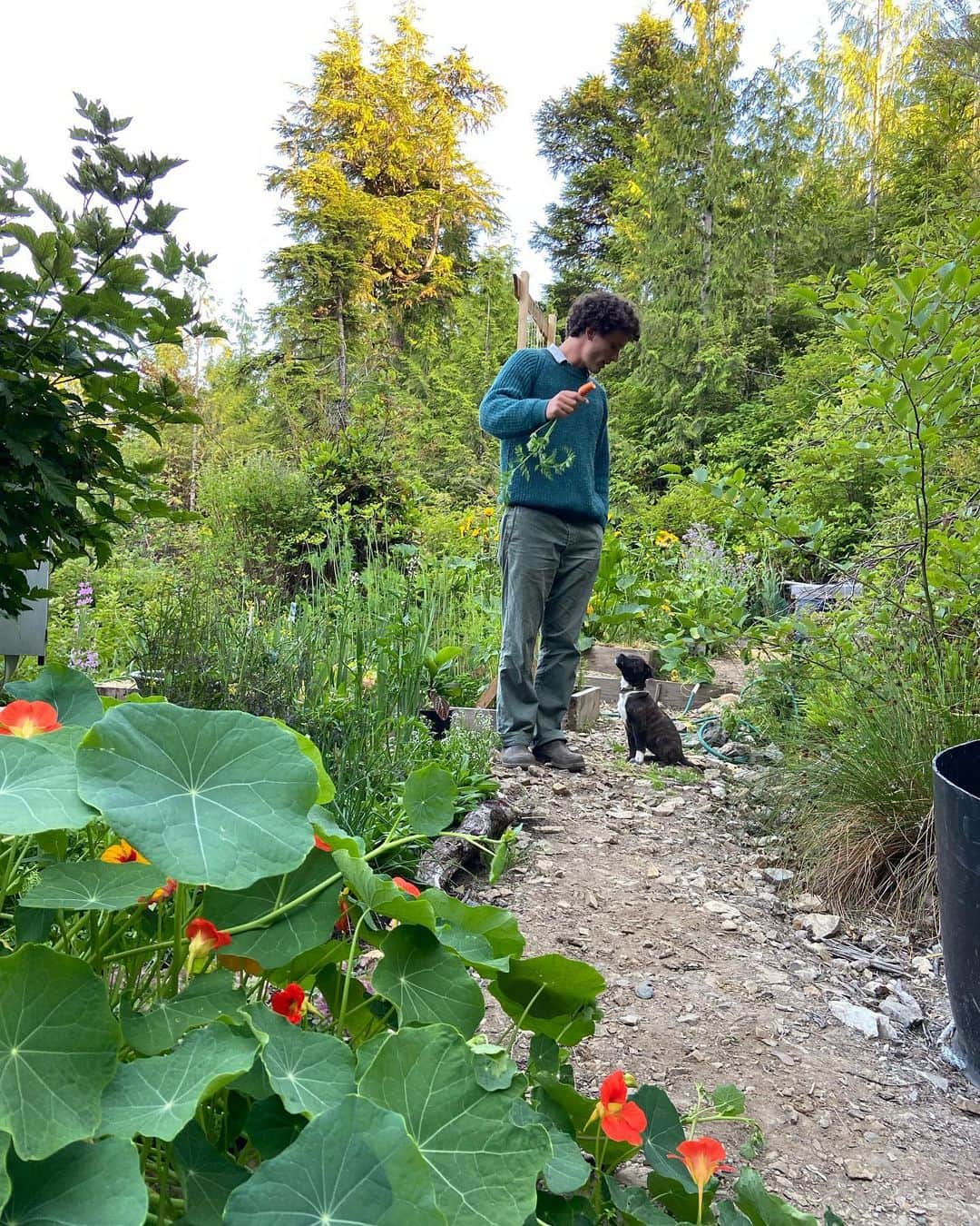 サイモン・ネスマンのインスタグラム：「Evening garden walks with baby Roo @cedarcoastcentre.  Photo: @andreeadiddy」