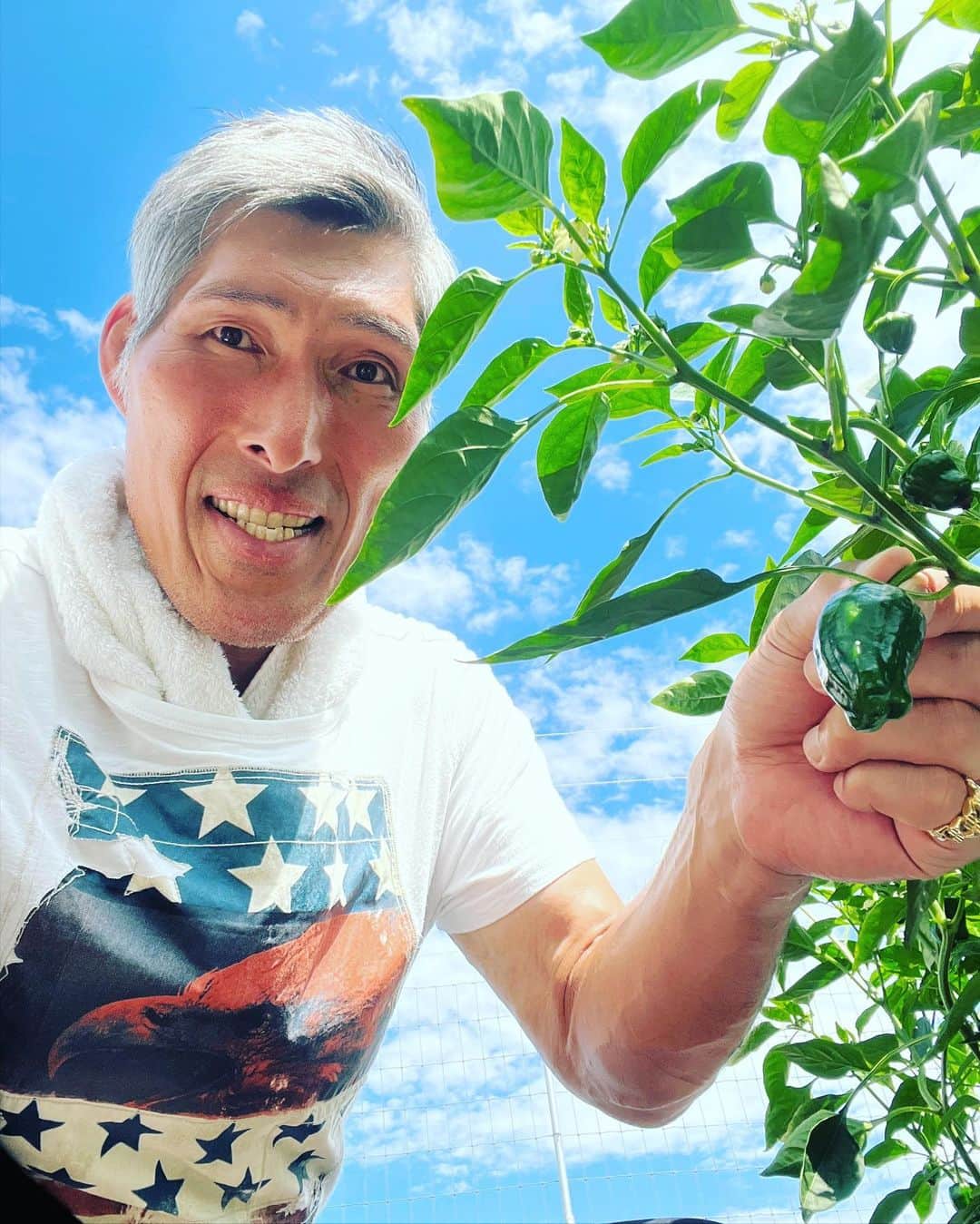 篠原信一のインスタグラム：「順調♪ #家庭菜園」