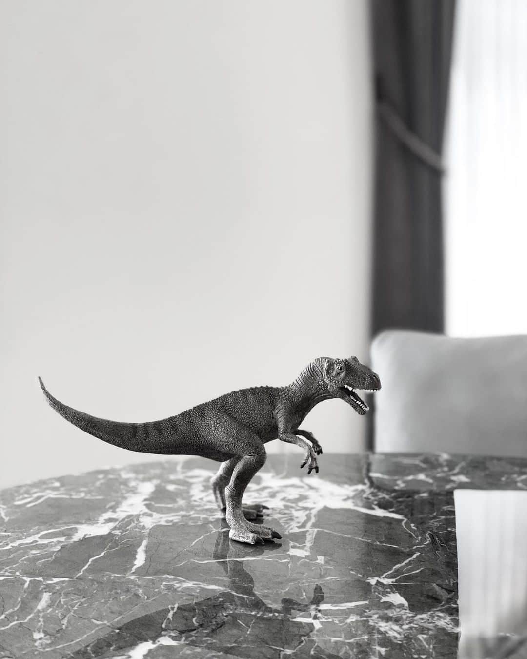 田中麻衣さんのインスタグラム写真 - (田中麻衣Instagram)「恐竜LOVEな長男。 そして次男は長男の影響で、次男も恐竜好きに。  シュライヒの恐竜フィギュアが、どんどんどんどん増える... こちらは新入りのアロサウルス。  シュライヒのフィギュアって、本当に作りが細かくてすごい。リアル。 しっかり重みもあって、かっこいい。  男の子って、わかりやすい''強いもの''に惹かれるんだねぇ」7月16日 16時19分 - maitanaka1217