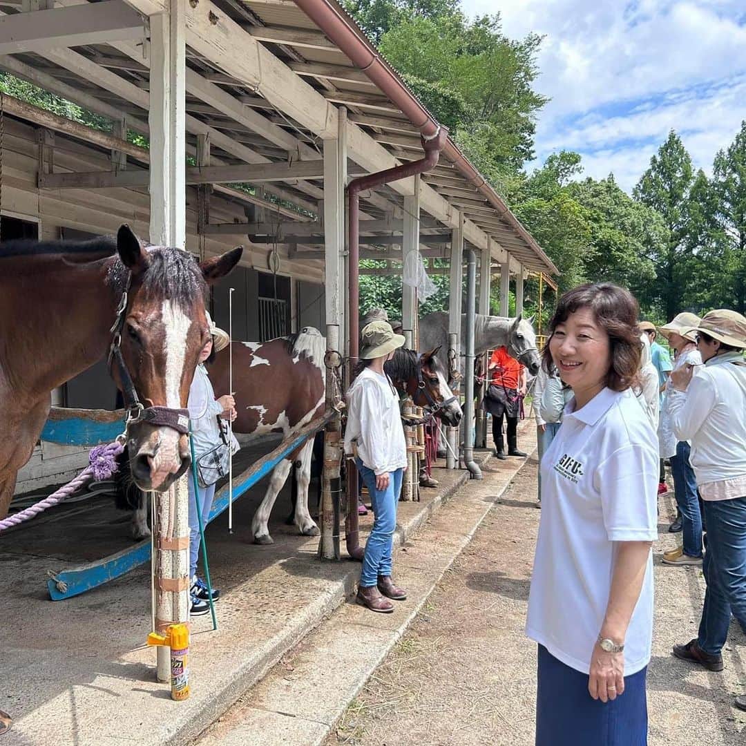 野田聖子さんのインスタグラム写真 - (野田聖子Instagram)「岐阜市乗馬会主催のTellington T Touch WS in Gifu 2023が開催されました。デビー・ポッツ先生をアメリカからお招きし馬にとって出来る限り快適なコミュニケーションの取り方を学びました。  #野田聖子」7月16日 15時19分 - seiko.noda