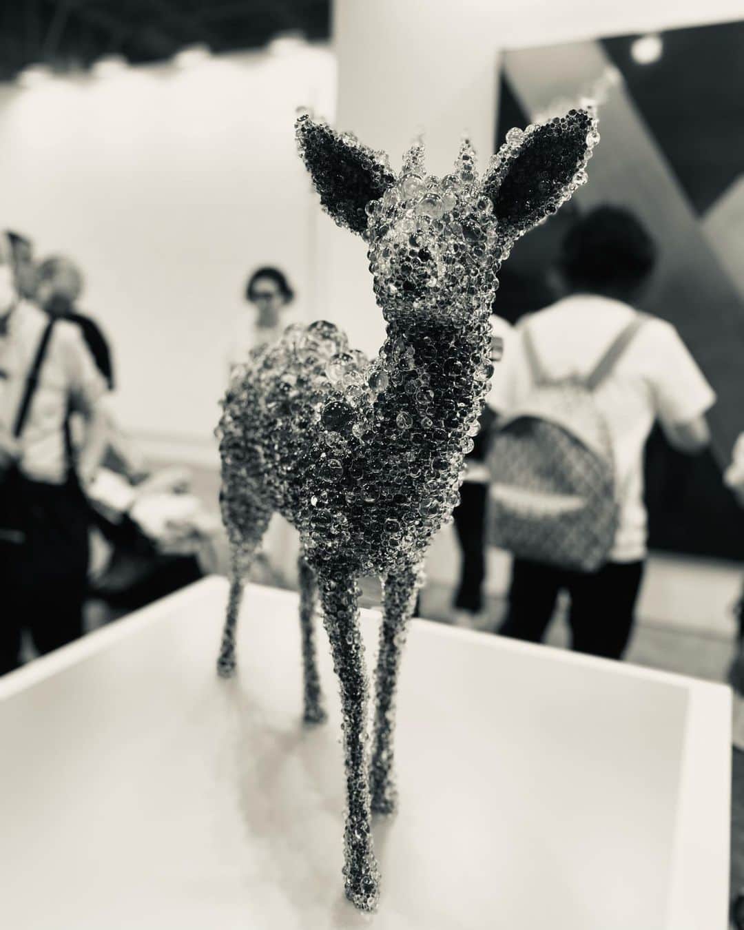 竜星涼さんのインスタグラム写真 - (竜星涼Instagram)「#cute 🦌♡」7月16日 15時47分 - ryo_ryusei