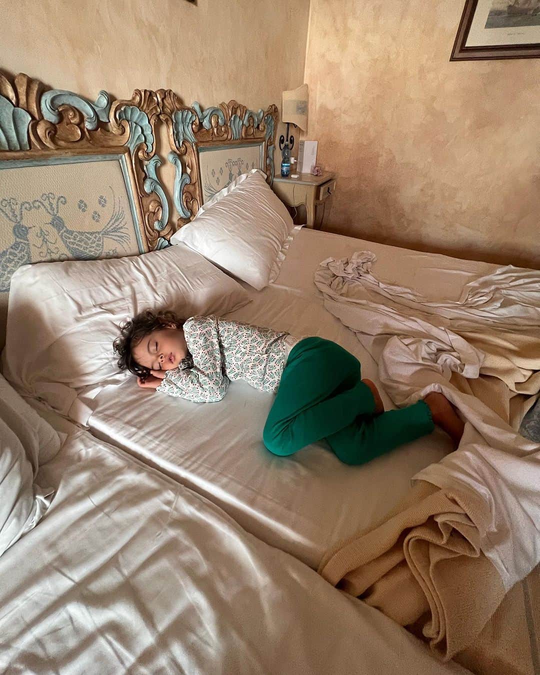 のインスタグラム：「Morning 🌞 🦎 #last24hours  #Sardegna #travel」
