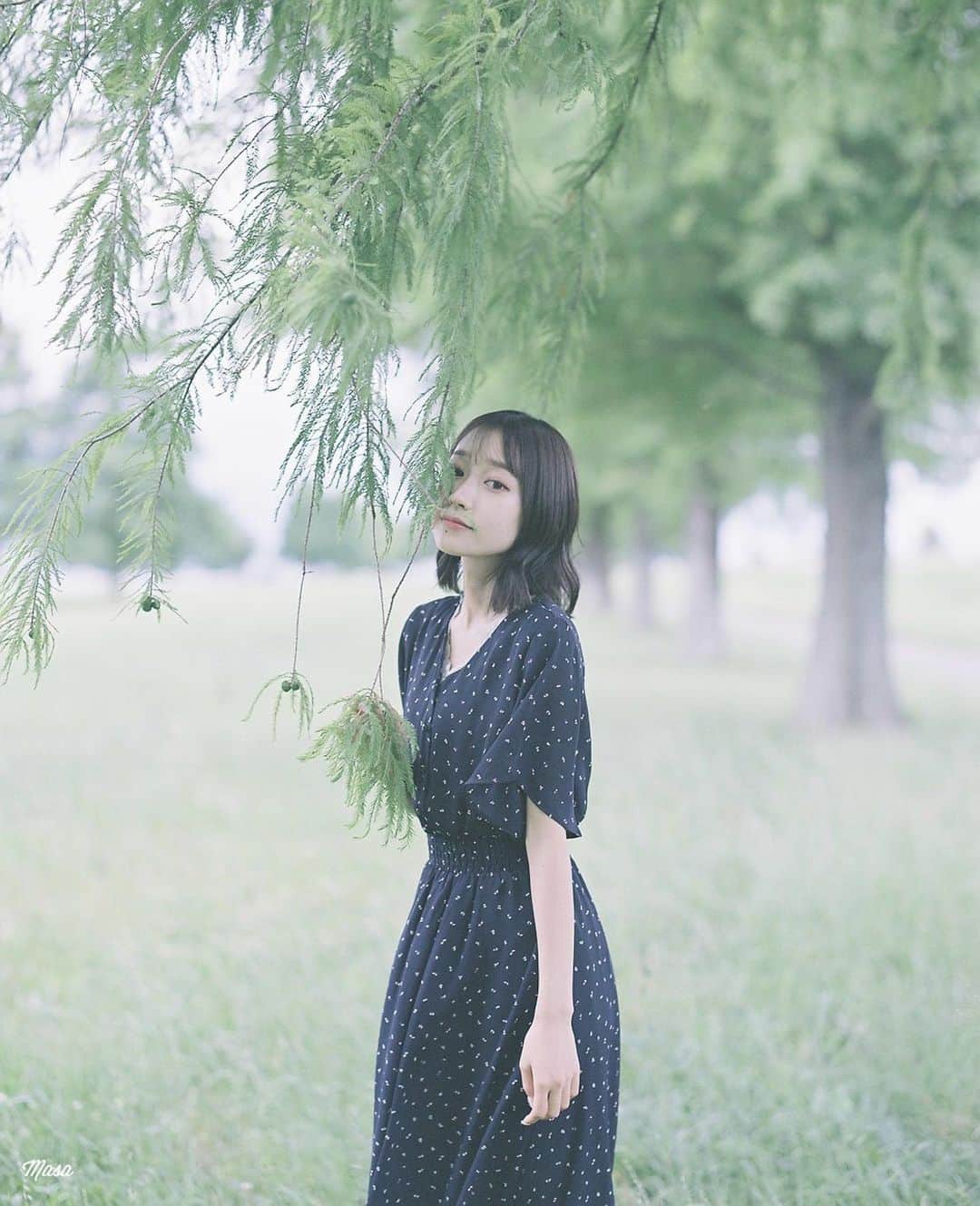 Masaのインスタグラム：「.  ▶︎▶︎▶︎ Swipe  All：Pentax6x7  Super Takumar 105mm F2.4 #PRO400H  滋賀で有名な、 #まさ_セコ  マキノのメタセコイアやで行かなくても十分  撮影日 : 2023年6月21日  #まさペン#エビプリ #pentax6x7 #pentax67 #バケペン #中判フィルム #film #filmcamera #filmphotography #フィルム #フィルムカメラ#フィルム写真 #igersjp #portrait #ポートレート #fujifilm #filmisnotdead #滋賀 #shiga #メタセコイア #Metasequoia」