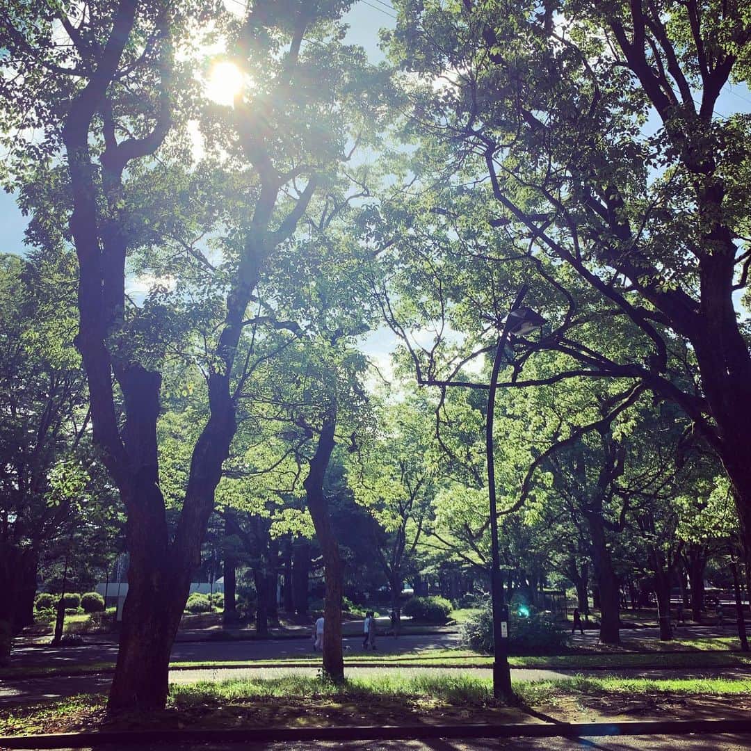 鈴木桃子のインスタグラム：「木陰は風が涼しいけど、日向はもう溶けそうな暑さです☀️😅 熱中症に気をつけて今日も元気に過ごしましょうね〜🌻🌻🌻  Good morning!」