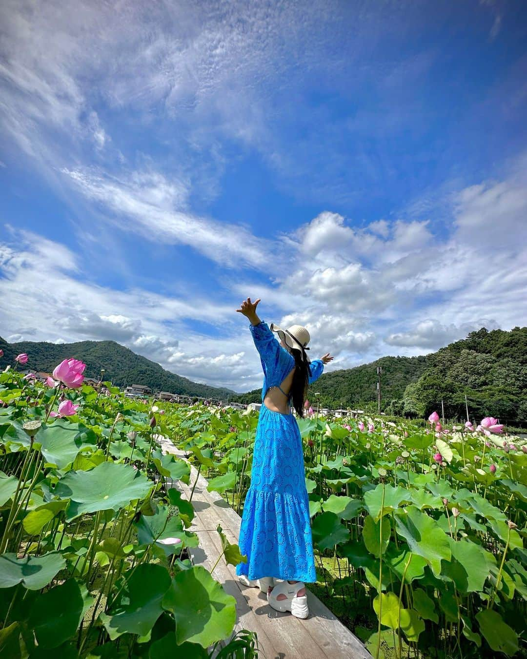 マキろんのインスタグラム：「姫路ならココ‼️とみんなから オススメされてヤマサ蒲鉾さんの 蓮の花が見頃で行ってきました✨  蓮の花大好きやから 幸せ空間すぎたー❗️✨  蓮の花って午前中に開いて 午後から閉じるらしく 次は午前中に行かないと❗️  花が落ちて これからレンコンに なるであろう姿も いとおかし✨😊 とっても素敵でした💓💓💓  #ヤマサ蓮の花2023  #蓮の花  #ヤマサ蒲鉾 #🪷   @yamasanpo_official  @yamasa_kamaboko   🪷🪷🪷🪷🪷🪷🪷🪷  #令和のアラフィフ#山内智恵」