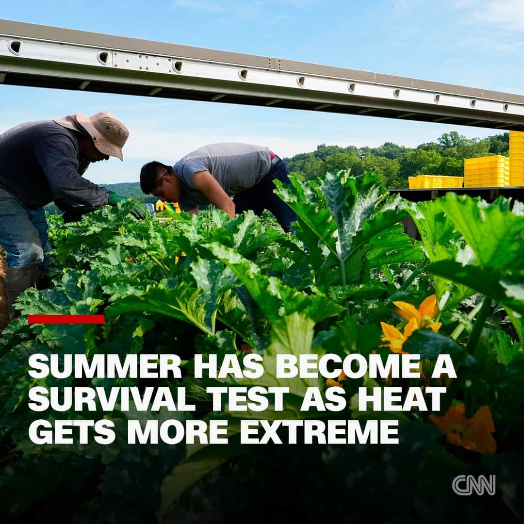 CNNさんのインスタグラム写真 - (CNNInstagram)「Outdoor workers, particularly those in the farming and construction industries, are just one of the groups for which summer is now a survival test. It's also more deadly for people experiencing homelessness, communities of color, low-income families and the elderly.  Heat kills more Americans than any other weather-related disaster, according to data tracked by the National Weather Service — and climate change is making these extreme events more intense and frequent.  Read more at the link in our bio.  📷: Joshua A. Bickel/AP」7月16日 8時42分 - cnn