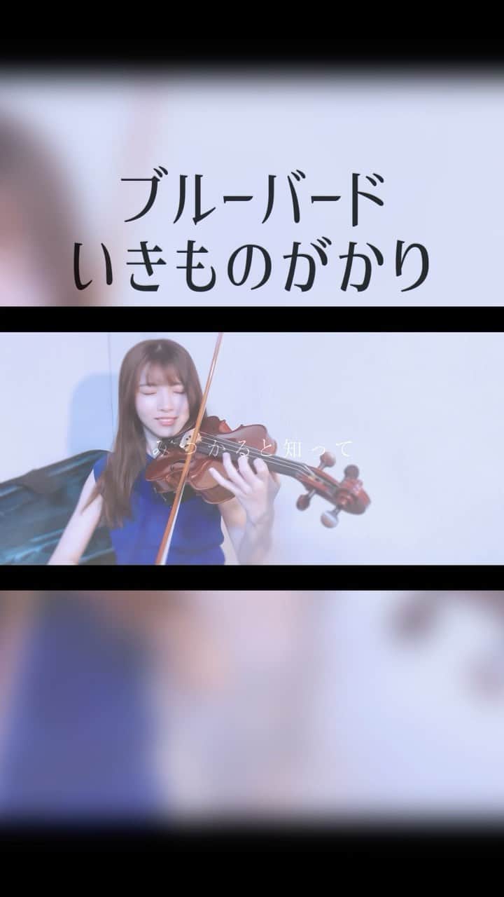 のインスタグラム：「#いきものがかり #ブルーバード #bluebird #naruto #ナルト」