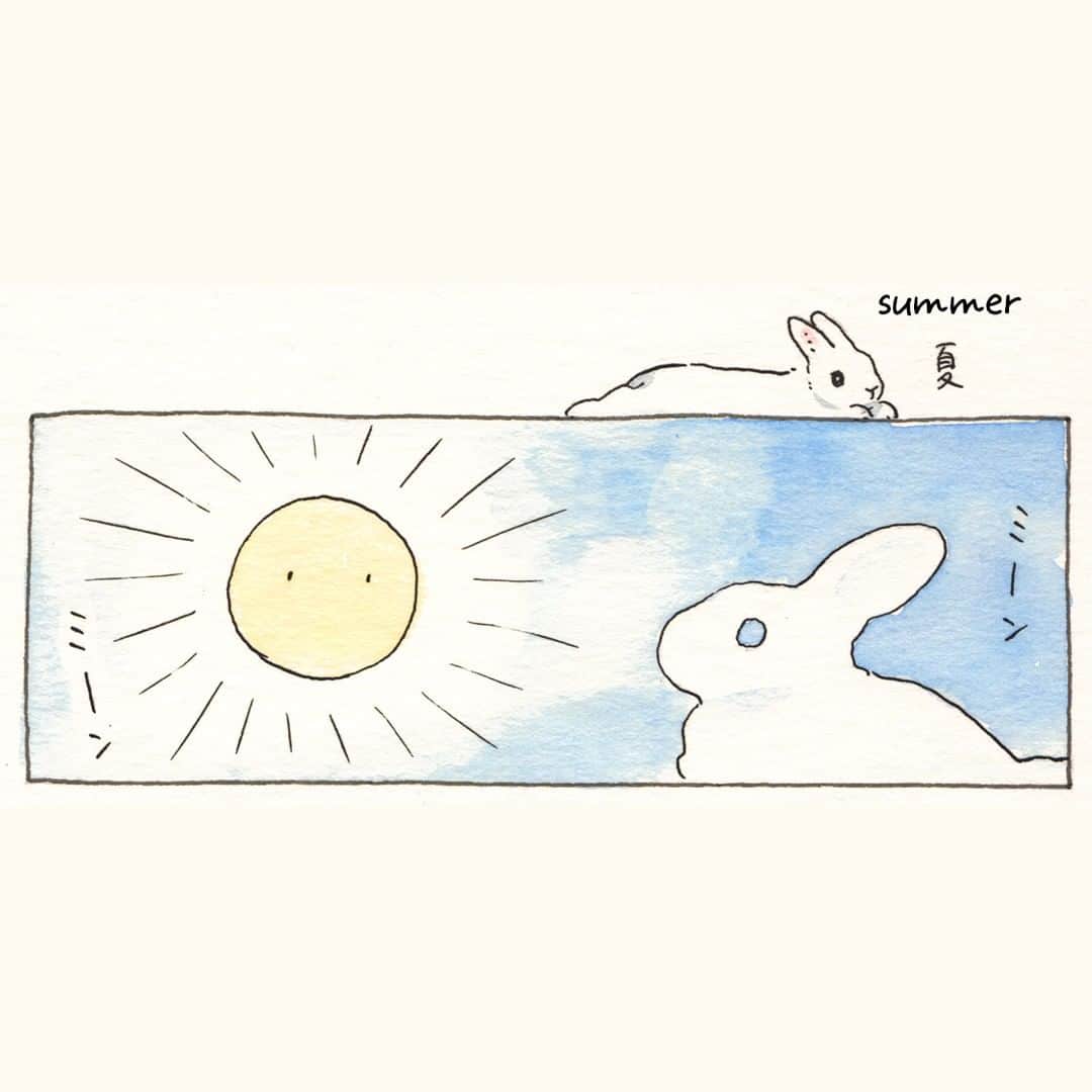 森山標子(しなこ)/Schinakoのインスタグラム：「summer🌤💕 夏🌞🐇」