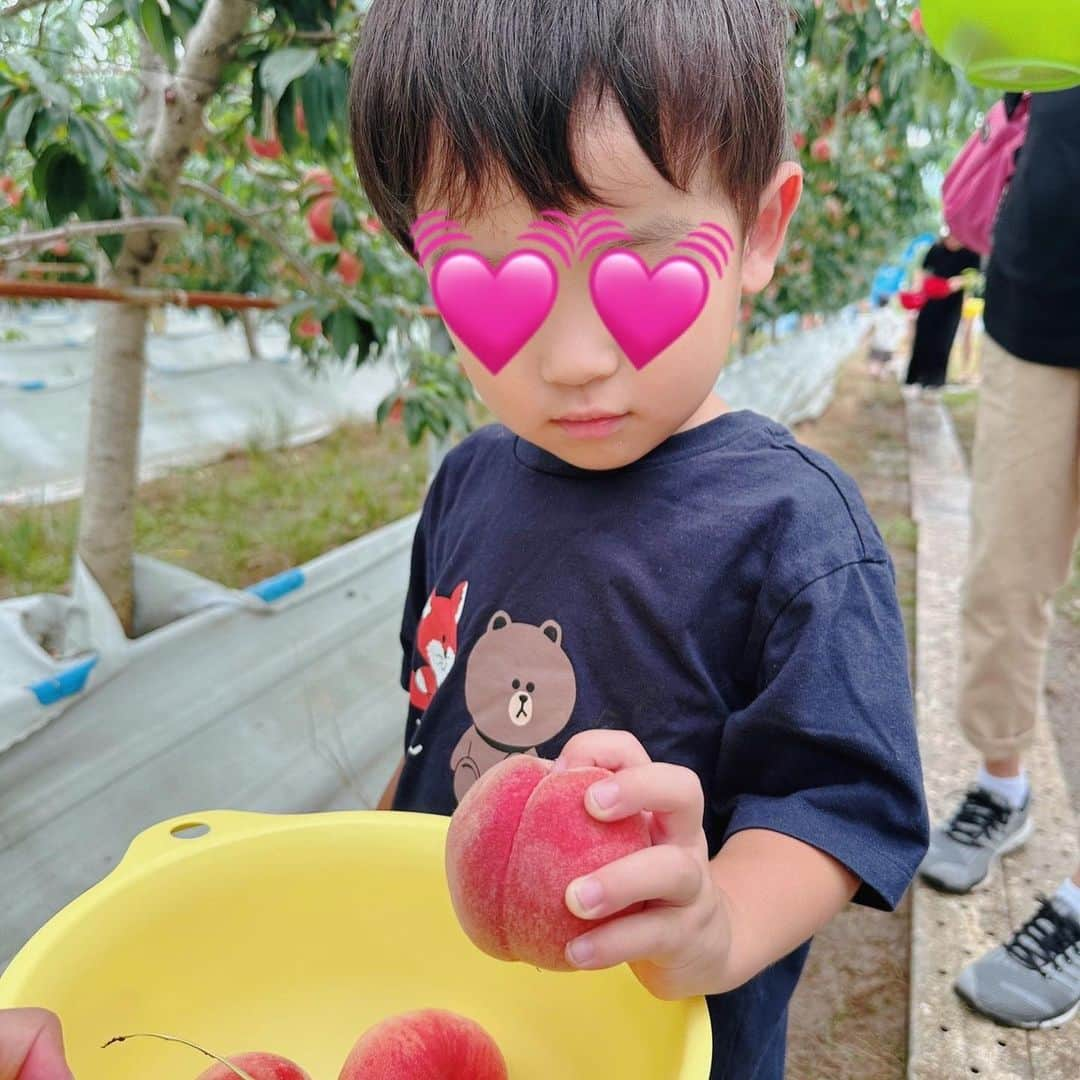 紀真耶さんのインスタグラム写真 - (紀真耶Instagram)「桃狩りと野球観戦✨ 夏の思い出！  ☆ ☆ #一年分の桃食べた #野球観戦 #デビュー #2歳児 #あの日から毎日野球している #素敵な機会に感謝 #ありがとうございました」7月16日 10時25分 - maya0kino