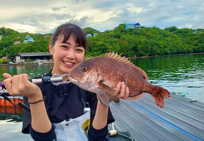 高橋沙織のインスタグラム：「ストーリーでは何度も告知していましたが... テレビ大阪「我ら怪傑！マッドフィッシャー」 和歌山県のカタタの釣堀 モンスターカンパチを捕獲せよ！編 観てくださった皆さまありがとうございました！  久しぶりの釣り番組、とても楽しかった🐟 カタタの釣り堀は初心者でも大物が狙える、めっちゃ良い釣り堀だったよー！！ モンスターカンパチとはいかなかったけど、、 鯛にヒラマサ、石鯛にカンパチといろんな種類が釣れてテンション上げ上げ*\(^o^)/*  爆漁長の藤澤さん、そらなさゆりさんは流石すぎる大物を釣り上げてましたー！！  「我ら怪傑！マッドフィッシャー」 テレビ大阪にて毎週金曜早朝2:35〜3:05放送 今後もちょくちょく出るかも？なんでぜひチェックして📺  #マッドフィッシャー #テレビ大阪 #ひょとこ さん #アルミカン #藤澤周郷 さん #そらなさゆり さん #アルミカンさおりん #釣り女子  #釣り番組 #釣り」