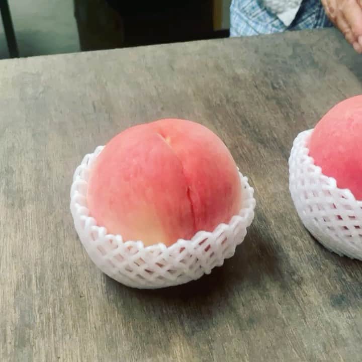 eguchikazuakiのインスタグラム：「【シーズンパフェ:桃ブラン🍑】  桃が好きになったのは 本当にこの4.5年でそれまで使ってはいたけどよくわかっていなかった。 今年は【モモアキ】も【モモタリン】も収穫出来なかったけど桃を勉強した  日本には四季があり、フルーツも様々、ハウスで年中フルーツが収穫されると思いがちだけど、時期は決まっている 今年もパフェ:桃ブランが始まりました🍑  毎年出来ることがありがたい、来年は出来るかわからないから今この瞬間の桃パフェ2023を楽しんでほしいです 桃の繊細な味わいがいいです ほぼ水分なのに感じる優しい甘さ  パフェに仕上げる際に使う杏仁の香りがこのパフェの最大のポイント、桃パフェにはやっぱりソーテルヌです  園地をまわりたくさんの方と繋がれて人との繋がりの中に私は季節を感じています  チョコの世界にはあまり季節感を感じることはないかも知れませんが、デリーモのパフェの中から日本の四季を感じてもらえたら嬉しいです👋🏻  #delimmo #momo #peaches🍑 #peach #parfaits #momoblanc #chocolatier #patisserie #recipe #easyrecipes #pastrychef #summerfruit #summerfruits #youtuberecipe #midtown #cheflife」