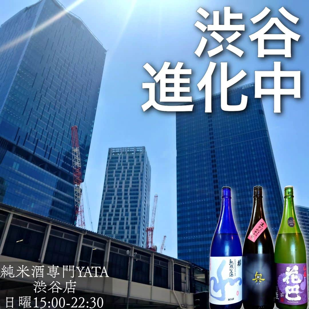 純米酒専門八咫 渋谷店のインスタグラム：「渋谷に来るたび迷います。  副都心線「渋谷駅」から渋谷店までの最短ルートを模索中…。  今日は地上ルートを…と思いましたが、暑さですぐ地下に😅  連休二日目。 15:00開店致します！  ⚠明日17(月).18(火)は店休日です。  『花巴』山廃うすにごり生原酒(奈良) 『奥』夢山水 純米吟醸生原酒(愛知) 『和』純米吟醸 熟成生酒(愛知)  #渋谷 #渋谷駅 #ハチ公前 #渋谷再開発   #花巴 #奥 #和  #渋谷日本酒 #渋谷立ち飲み #渋谷一人飲み #一人飲み歓迎」