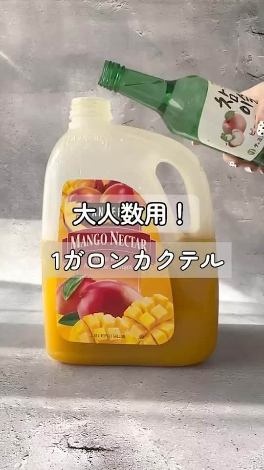 JINROのインスタグラム：「大人数用！ガロンでつくる豪快なアレンジ！みんなで分けて楽しく飲んでね🥳 #チャミスルアレンジ #ジャングルジュース」