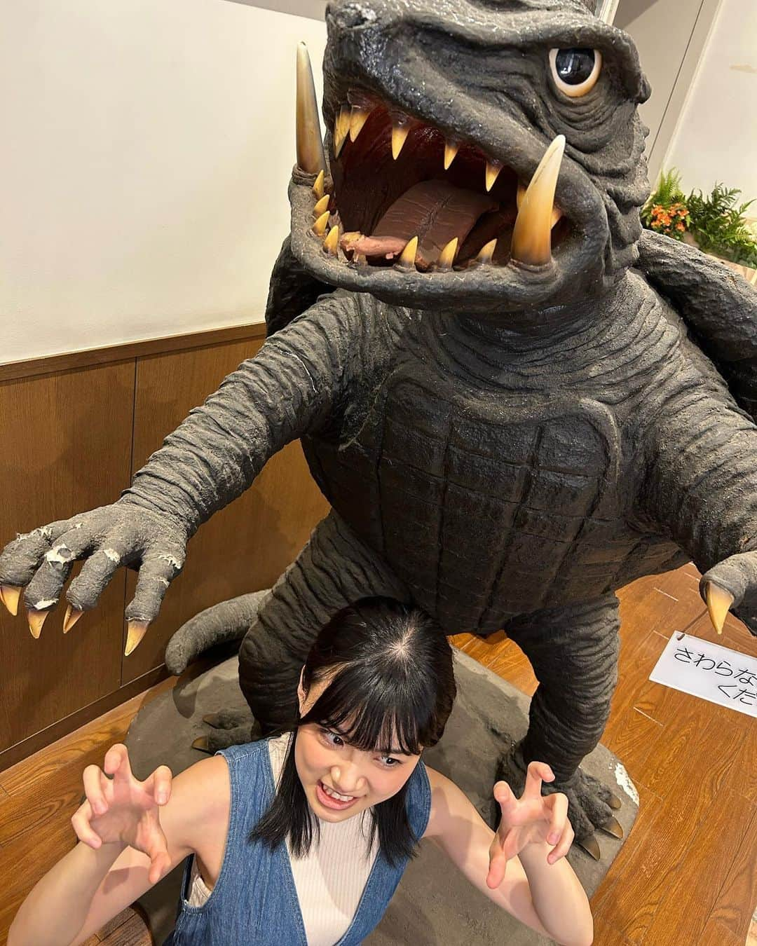 加弥乃のインスタグラム：「#GAMERA 💥 #さわらないでください🚫」