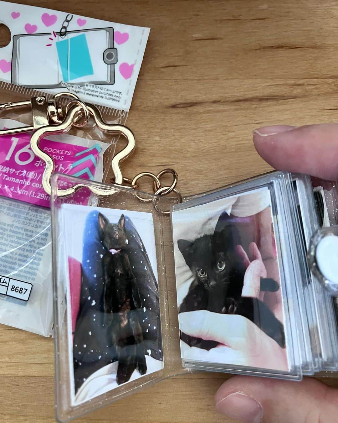 しおやてるこさんのインスタグラム写真 - (しおやてるこInstagram)「ダイソーに売っていたコレを… こうして… こうじゃ…！！！  ウチの黒猫のミニ写真集できたよ🐈‍⬛✨  #黒猫 #猫がいる生活」7月17日 0時17分 - shiochin1129
