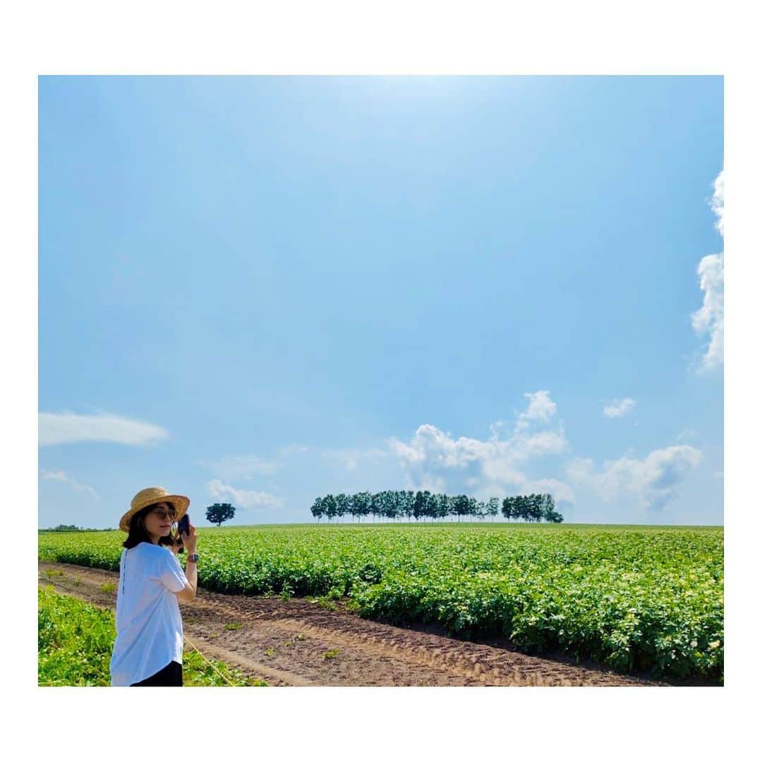 古川美有さんのインスタグラム写真 - (古川美有Instagram)「丘のまち美瑛🌻  少し前の、道央旅ふりかえり②  富良野から少し北にある美瑛は、アップダウン激しめな丘のまち。 見渡す限りの緑に、小麦畑と色とりどりの花たち… 視界が広くて、ぐるぐるドライブするの本当に楽しかった！ 森の中に突然現れる青い池も、神秘的で素敵でした。 #北海道旅行 #美瑛 #新栄の丘 #パッチワークの路 #パノラマロード #四季彩の丘 #青い池」7月16日 17時35分 - miyukogawa