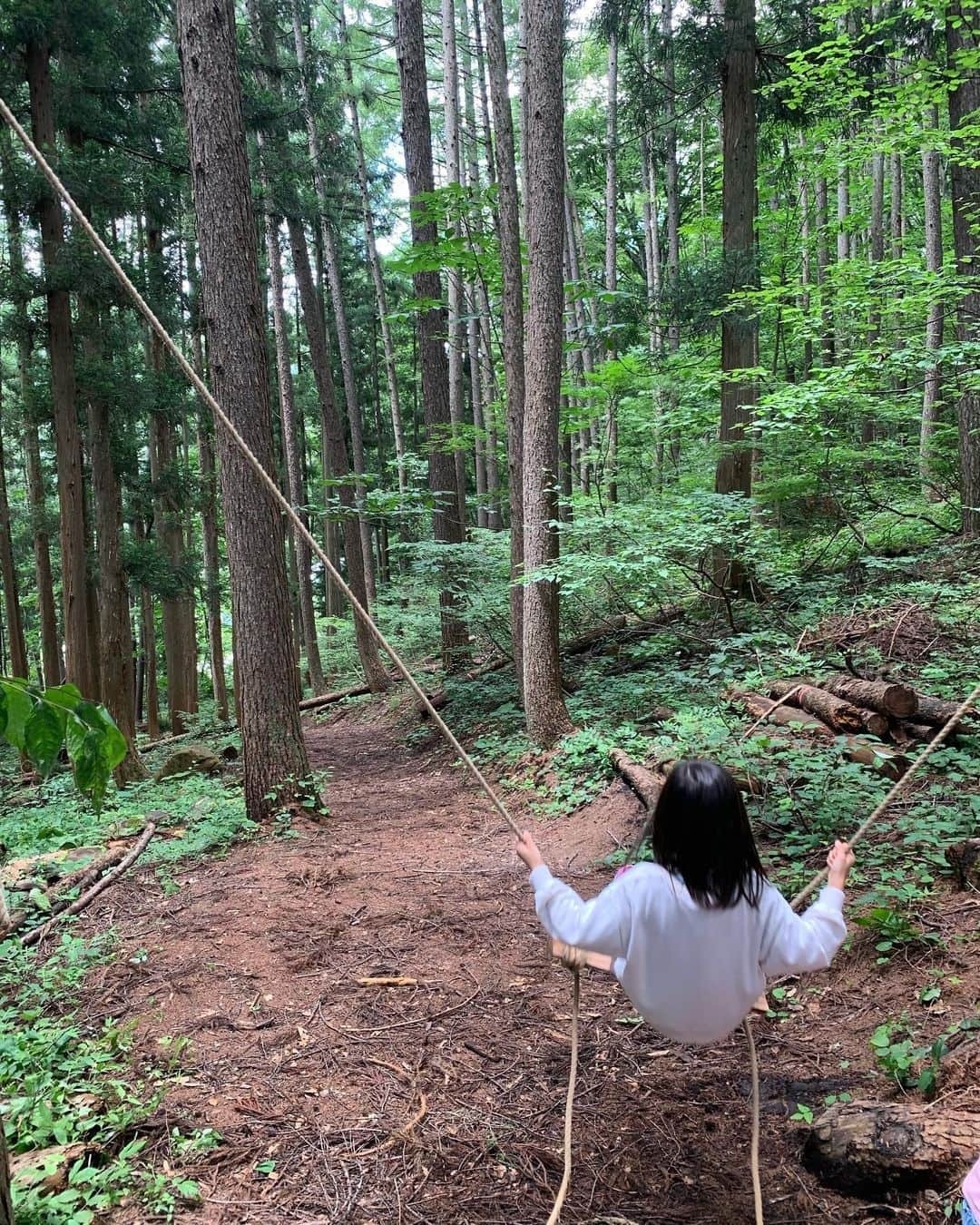 竹田恒泰のインスタグラム：「手作りの森のブランコ。」