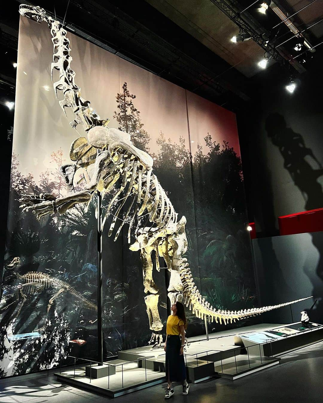 ステファニー・ヨーステンさんのインスタグラム写真 - (ステファニー・ヨーステンInstagram)「We are so small 🦕」7月16日 17時59分 - stefaniejoosten